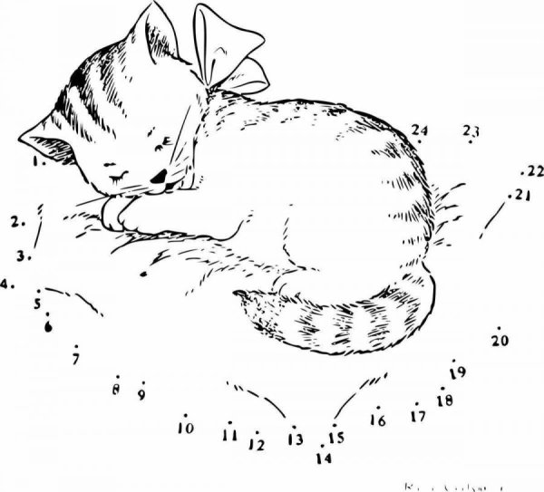 Кот по точкам