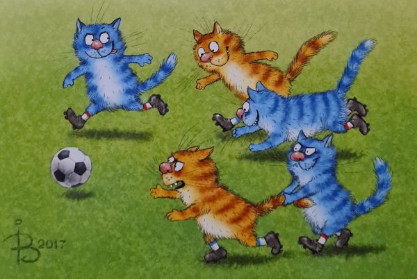 Ирина Зенюк синие коты 2019