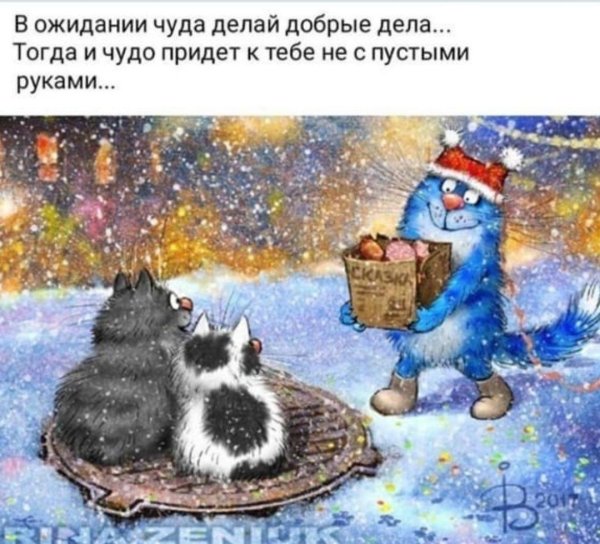 Зимние коты Ирины Зенюк