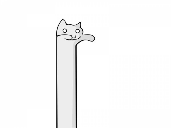 Длинный кот
