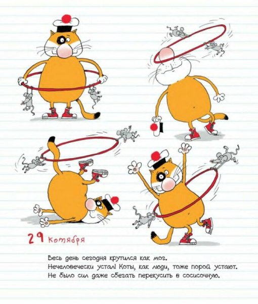 Кот помпон
