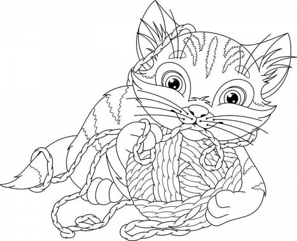 Кошечка с клубком раскраска
