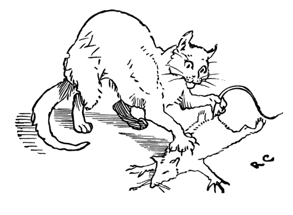 Кошка ловит мышь