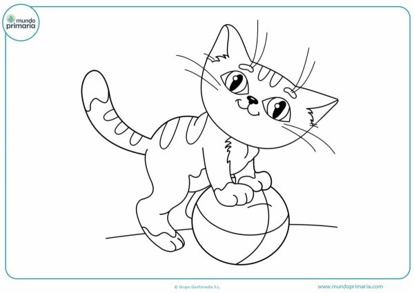 Раскраска котик с мячиком