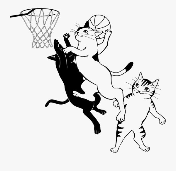 Раскраска котик с мячиком