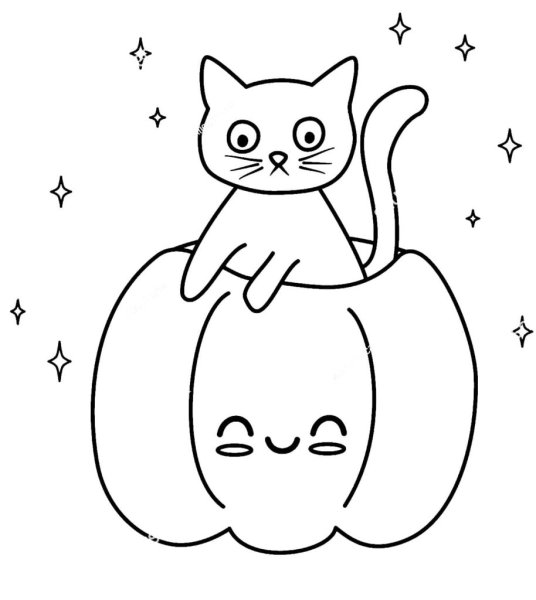 Кошка на тыкве раскраска