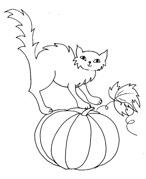 Кошка на тыкве раскраска
