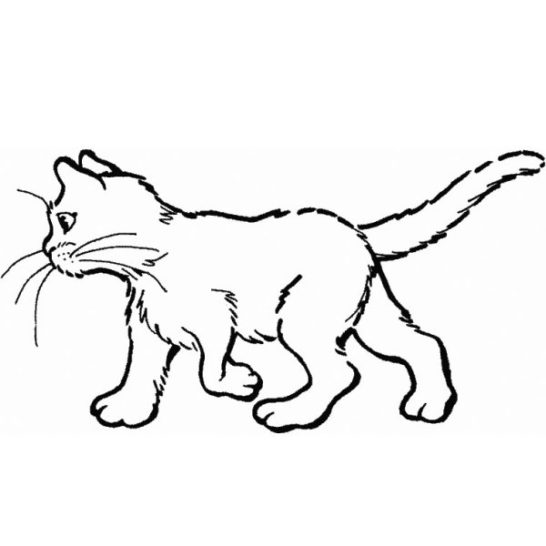 Рыжий кот раскраска