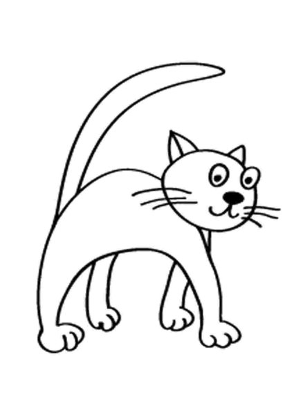 Котик раскраска для детей