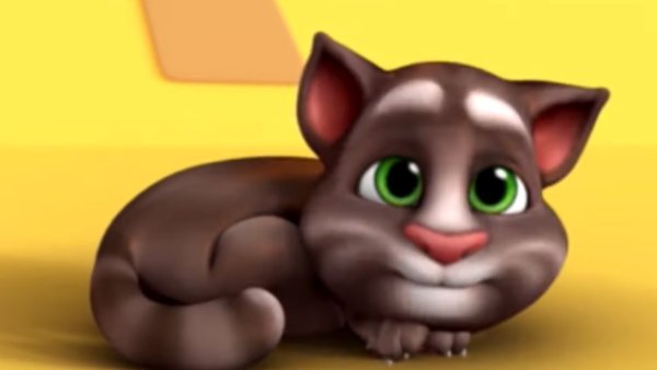 Кот том маленький