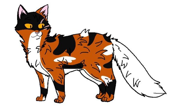 Коты Воители Кленовница