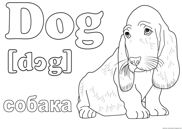 Кошка раскраска для детей