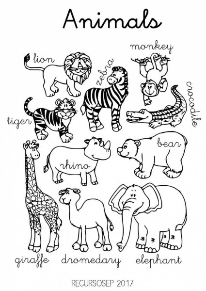 Животные раскраска для детей Worksheets