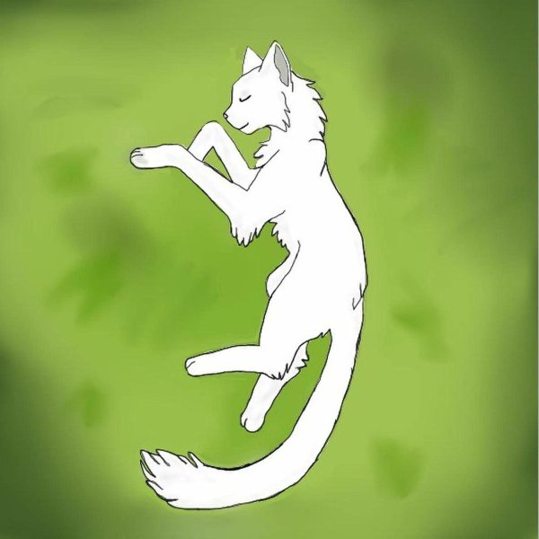 Коты Воители фрилайны