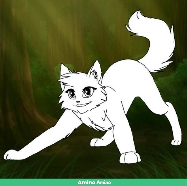 Коты Воители лайны Амино