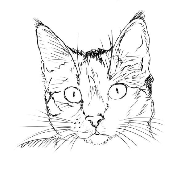 Кошка рисунок