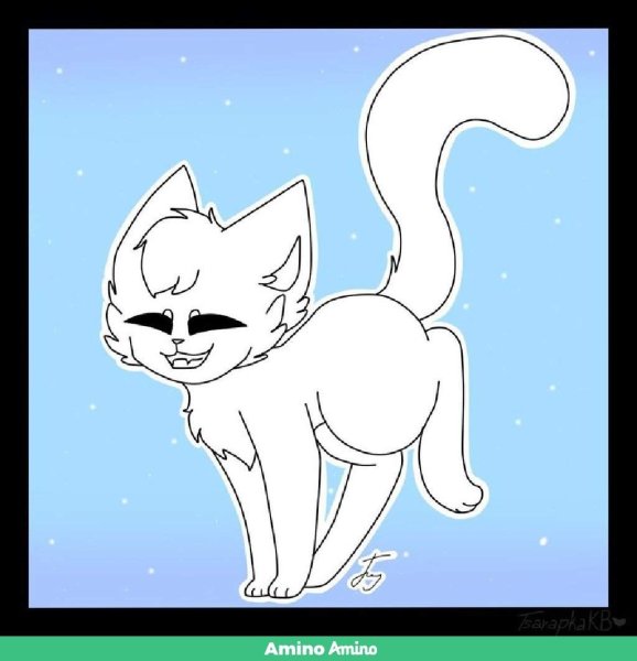 Коты Воители лайны Амино