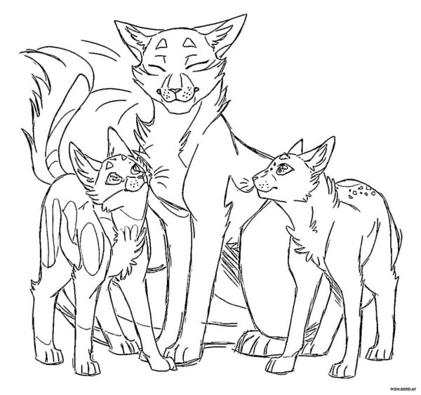 Раскраски коты воители ава (45 фото)