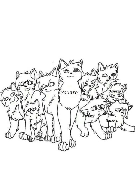 Раскраски коты воители групповые (48 фото)