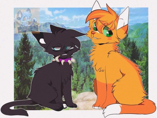 Коты Воители Бич и Огнезвёзд