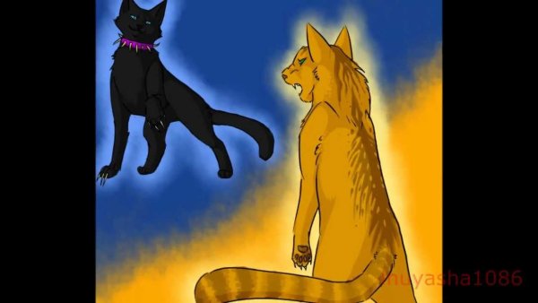 Коты Воители Бич и Огнезвезд