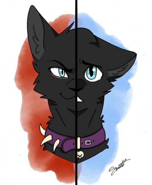 Коты Воители Бич