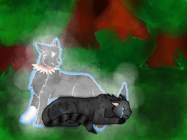 Коты Воители Остролистая и Бич