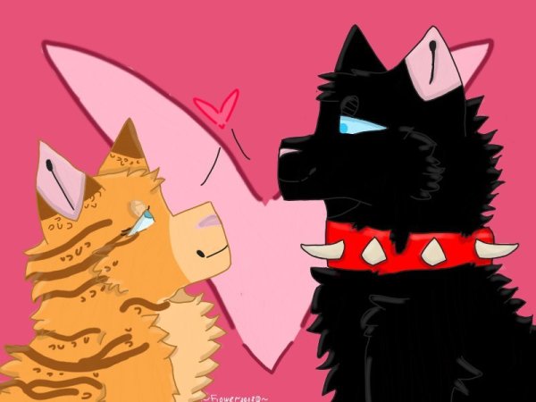 Коты Воители Бич и Огнезвезд