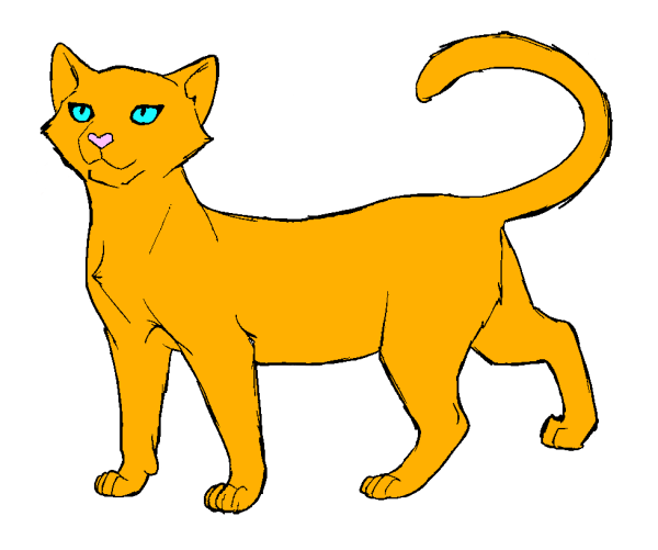 Коты Воители золотистая кошка
