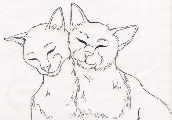 Раскраска коты Воители 2 кота
