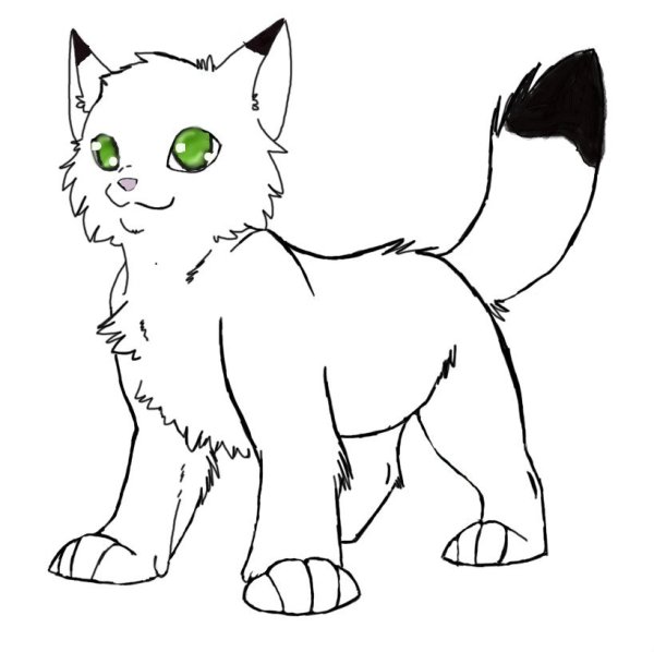 Коты Воители майнкрафт