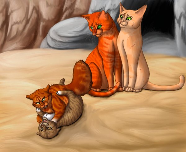 Раскраски коты воители огнезвезд и песчаная буря (50 фото)