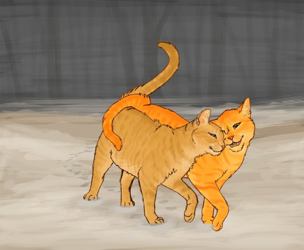 Коты Воители Огнезвёзд и Песчаная буря