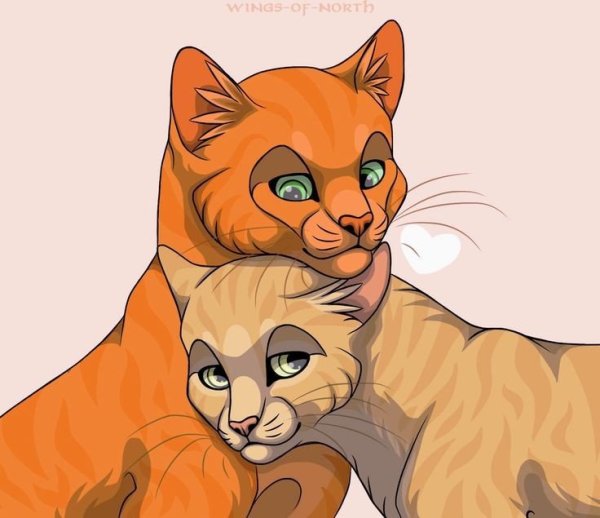 Коты Воители Огнезвёзд и Песчаная