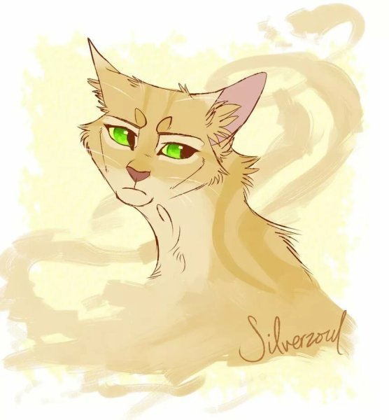 Коты Воители Песчаная буря