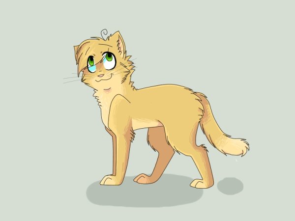 Коты Воители Песчаная буря