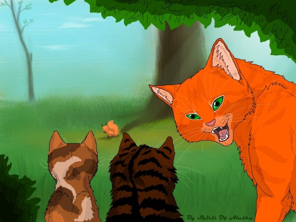 Коты Воители Огнезвёзд