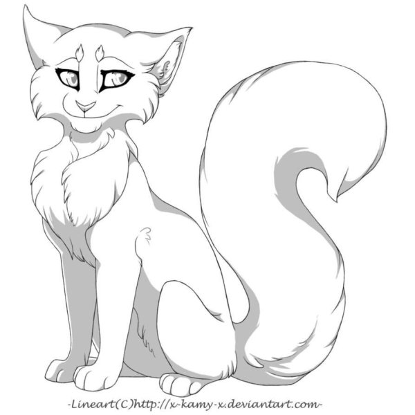 Коты Воители лайн кота