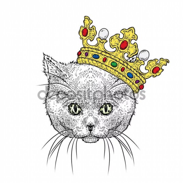 Котенок в короне