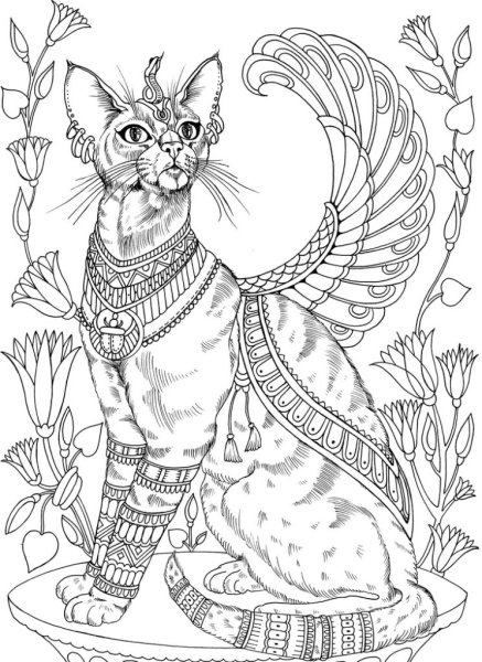 Кошки. Раскраска