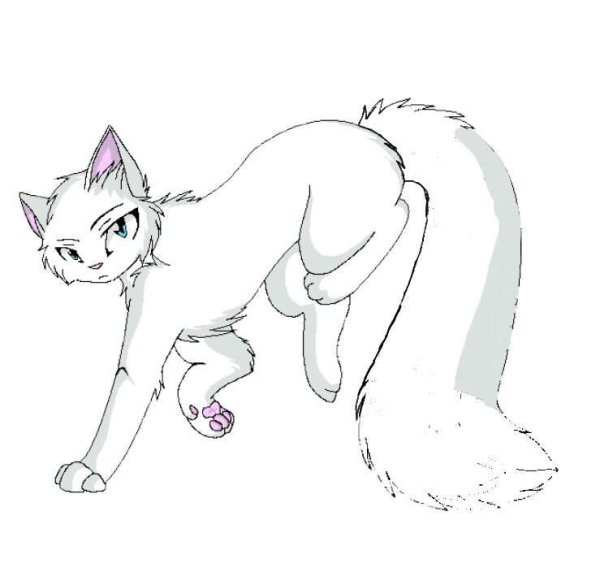 Коты Воители Белолапка