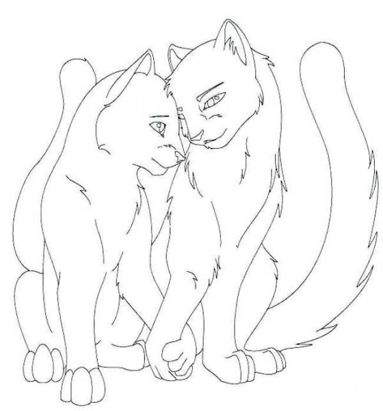 Коты Воители Огнезвёзд