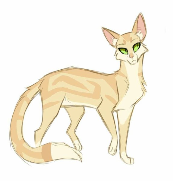 Коты Воители Песчаная буря