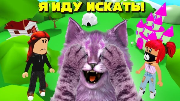 МИП Сити кошка Лана