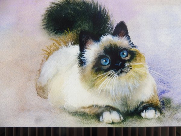Невская маскарадная кошка живопись
