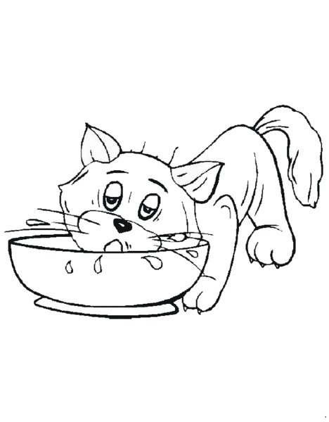 Раскраска кот лапша