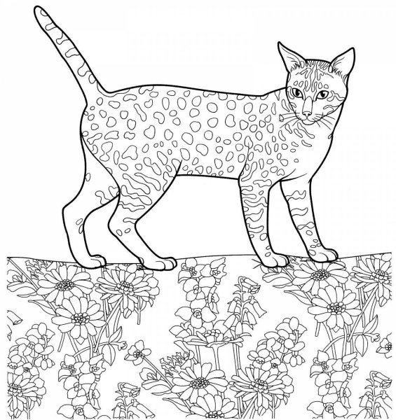 Bastet богиня Египта эскиз