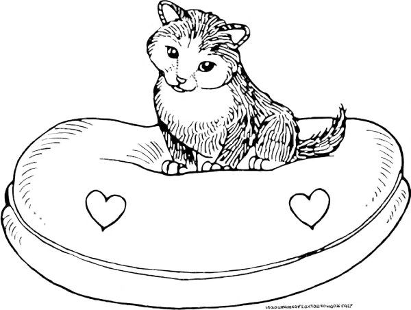 Котик художник раскраска