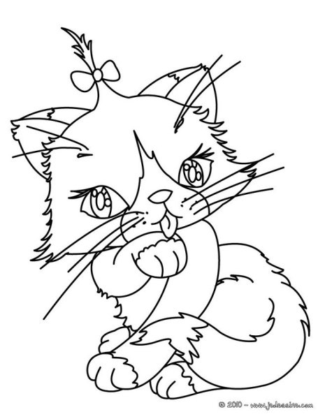 Раскраска Миледи кошка