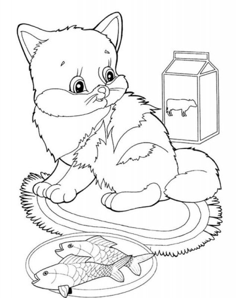 Кошки. Раскраска